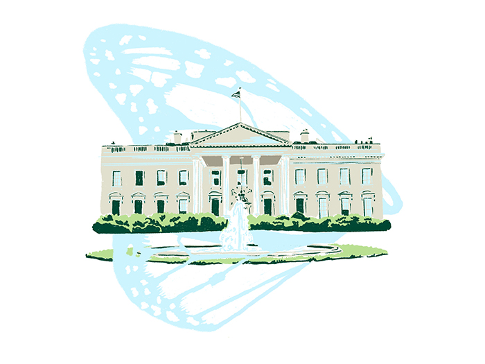 Illustration of White House